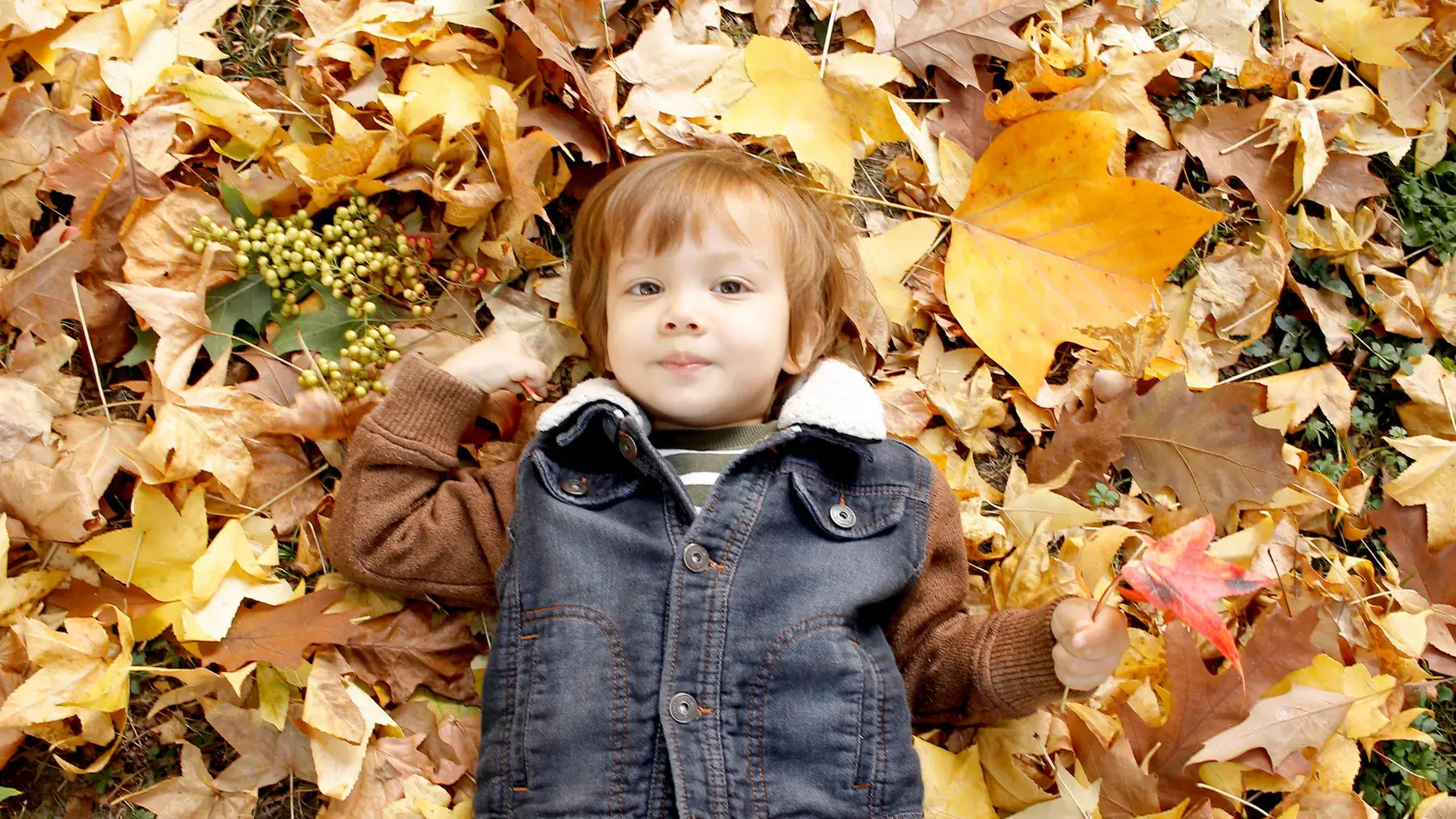 Five Awesome Autumn Activities