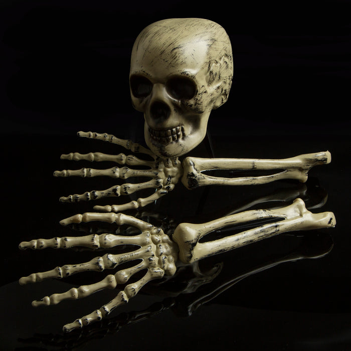 Halloween Skull & Arm Set